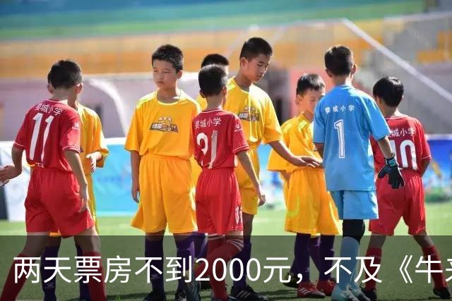 两天票房不到2000元，不及《牛来》一半，多位明星助力也没用，本月最惨电影诞生