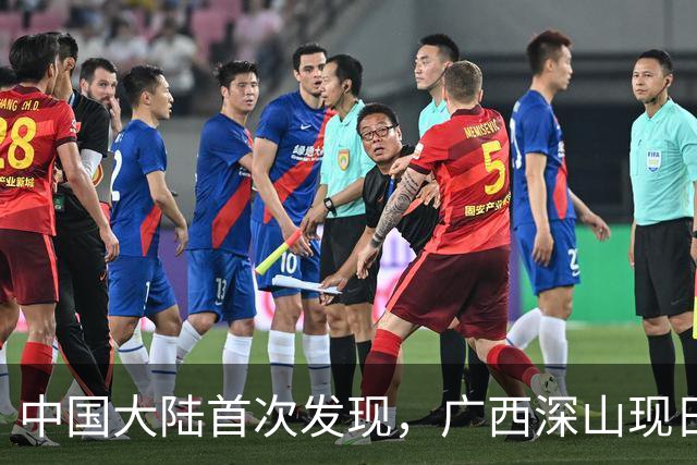 中国大陆首次发现，广西深山现"日本独有兰"，来源至今难解