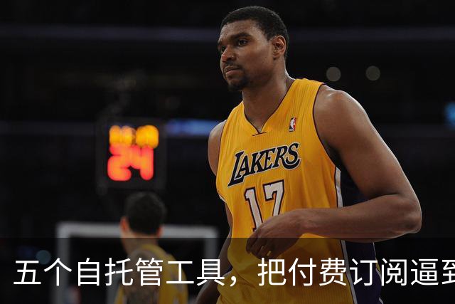 五个自托管工具，把付费订阅逼到墙角