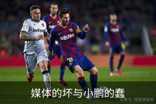 媒体的坏与小鹏的蠢