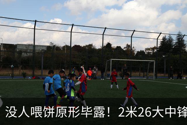 没人喂饼原形毕露！2米26大中锋仅5分2板，球迷：杜锋真没骂错你