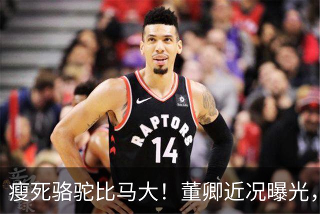 瘦死骆驼比马大！董卿近况曝光，出门坐高级保姆车，豪门梦没破碎