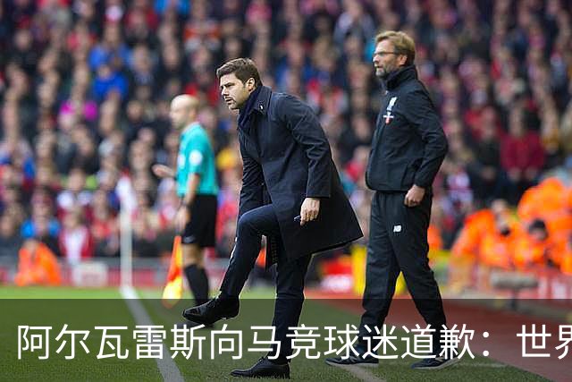 阿尔瓦雷斯向马竞球迷道歉：世界杯上我说的话，换我也会生气